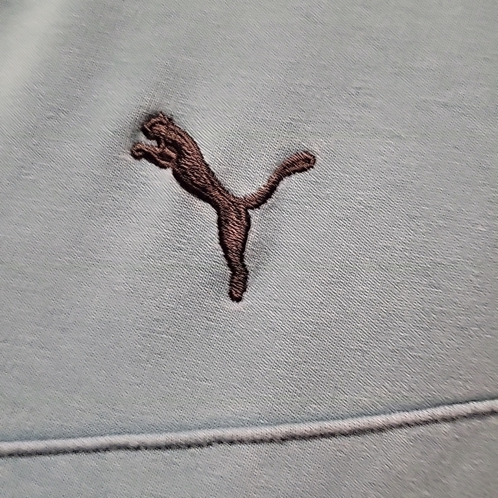 puma blue hoodie sweatshirt. Two side pockets. Size says Large. - Picture 2 of 7